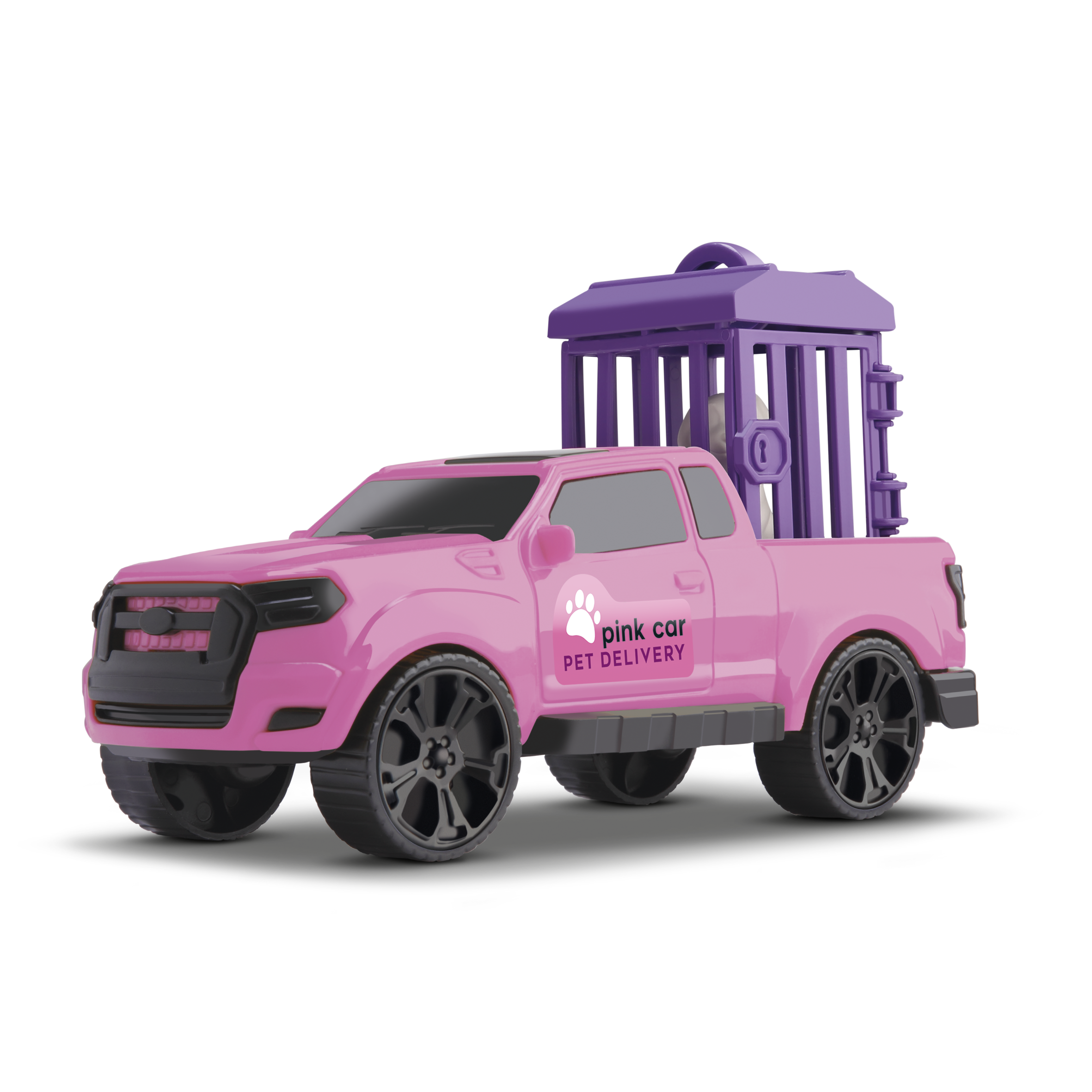 Ilustração PET DELIVERY PICK-UP SPORT